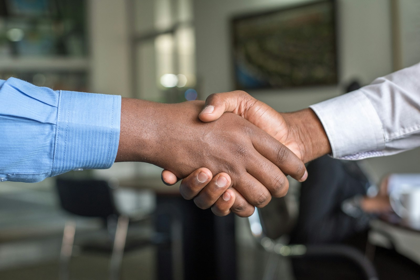 Cropped professional handshake sealing an agreement, office backdrop